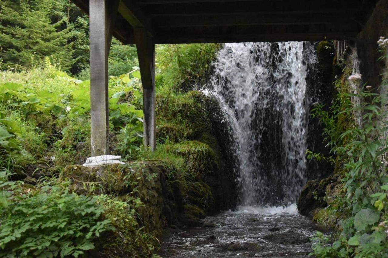 플리트비체 Wooden House With A Waterfall "Stipanov Mlin" 빌라 외부 사진